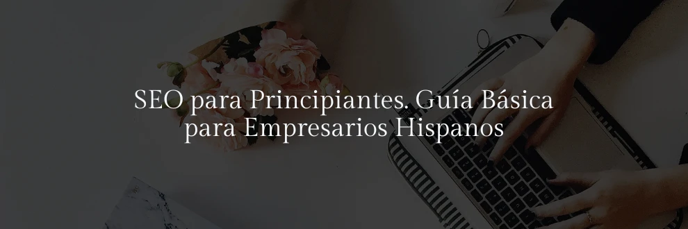 SEO para Principiantes. Guía Básica para Empresarios Hispanos
